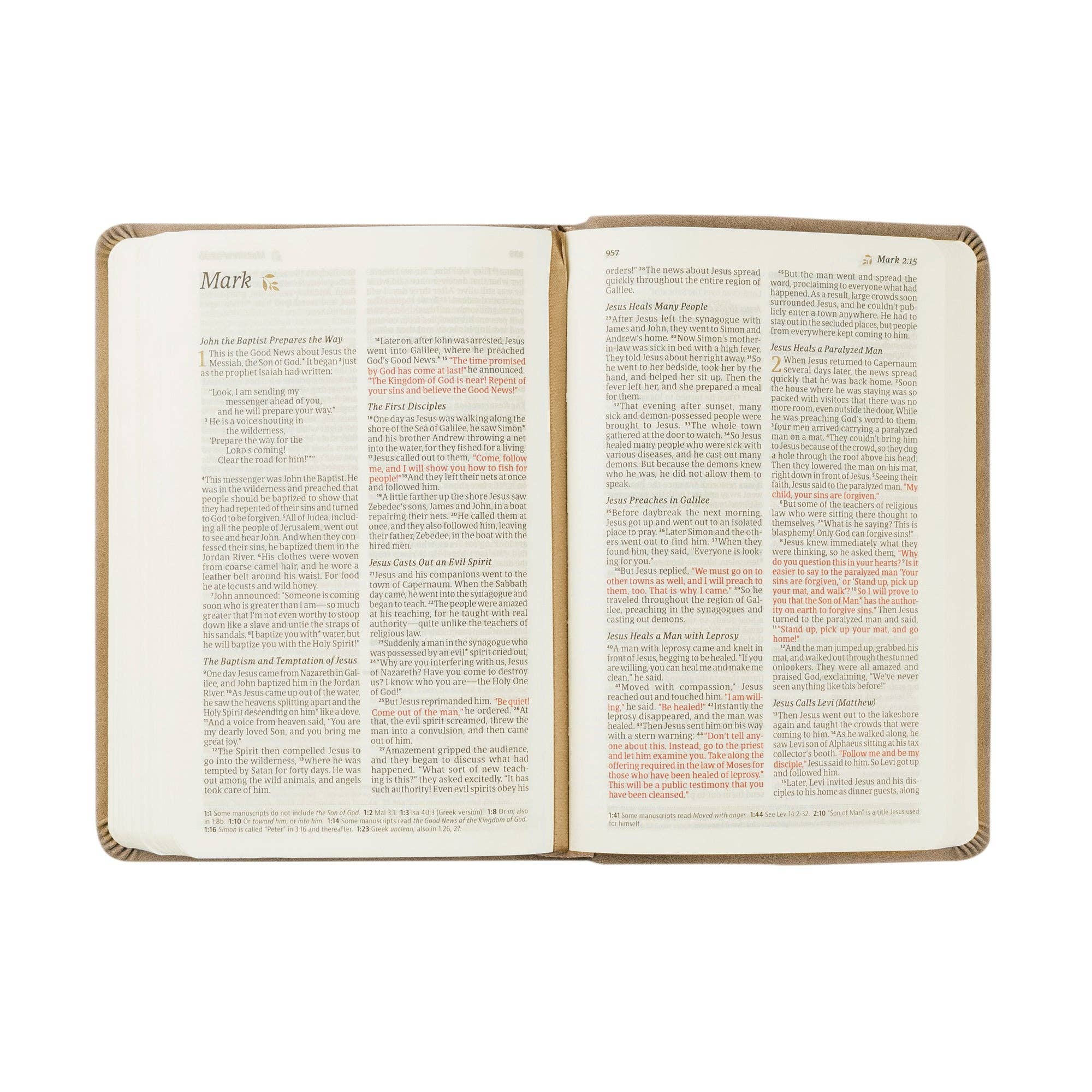 NLT Compact Bible: Marlo Theme