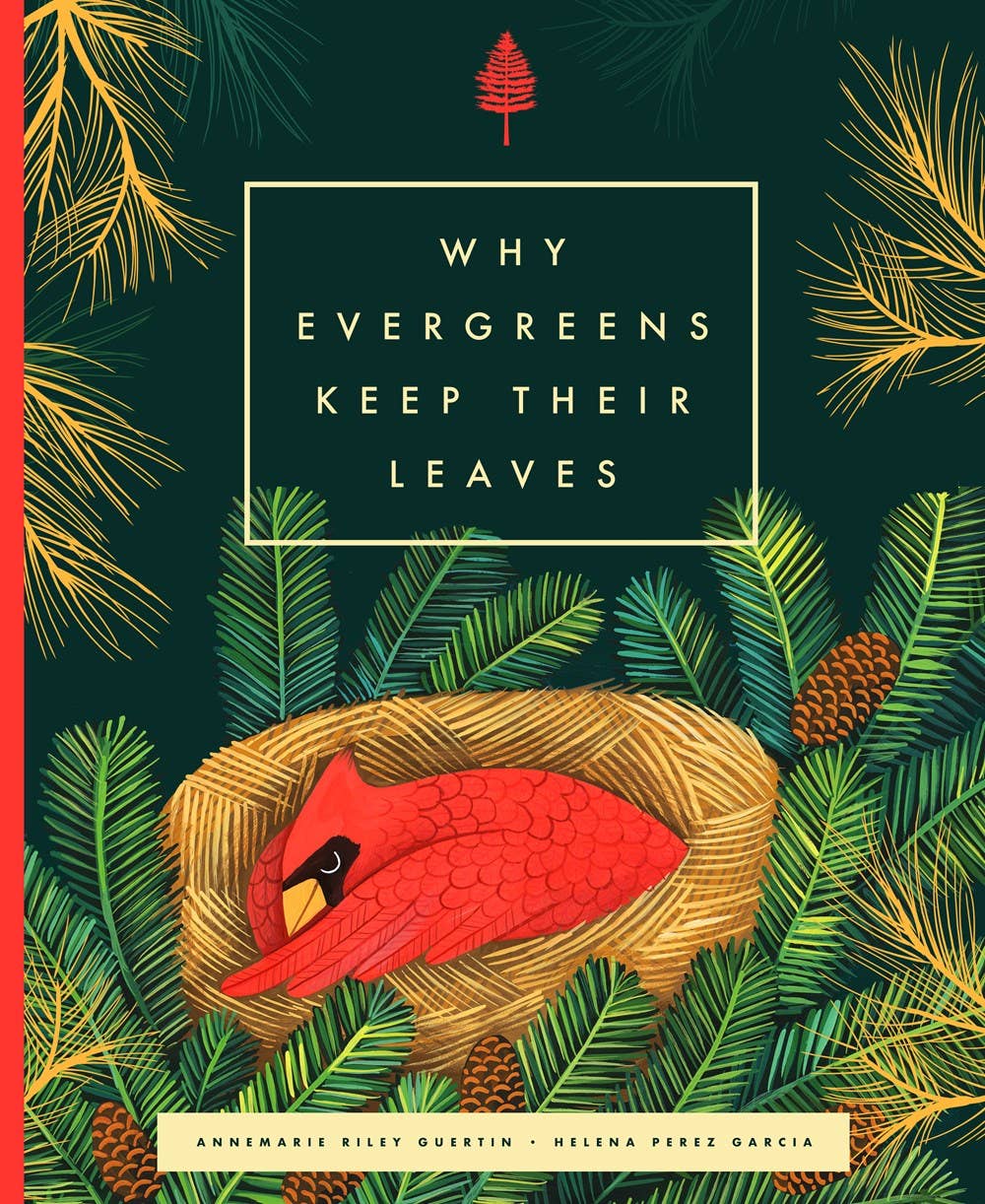 Familius, LLC - Why Evergreens Keep Their Leaves