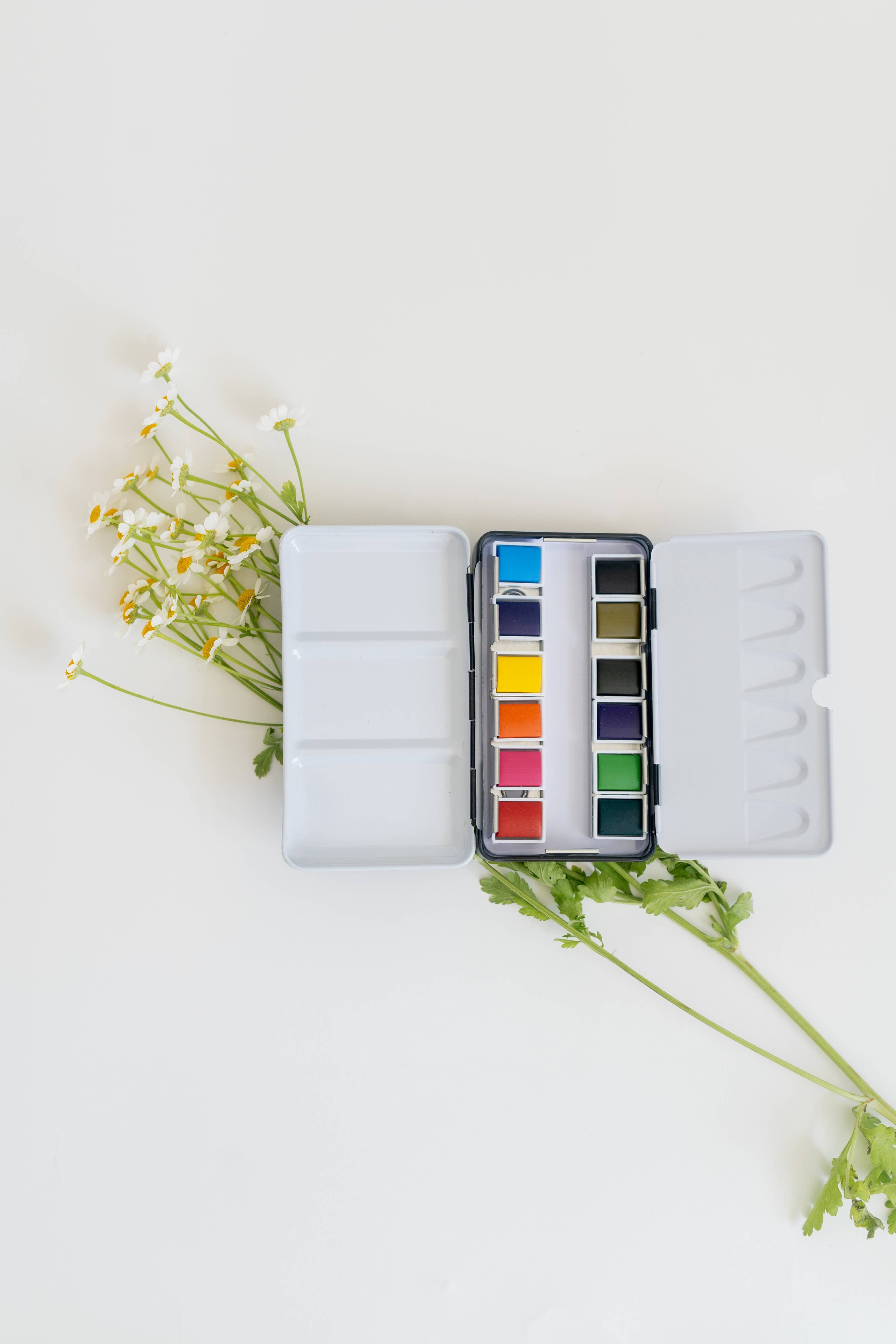 12 Color Watercolor Paint Palette