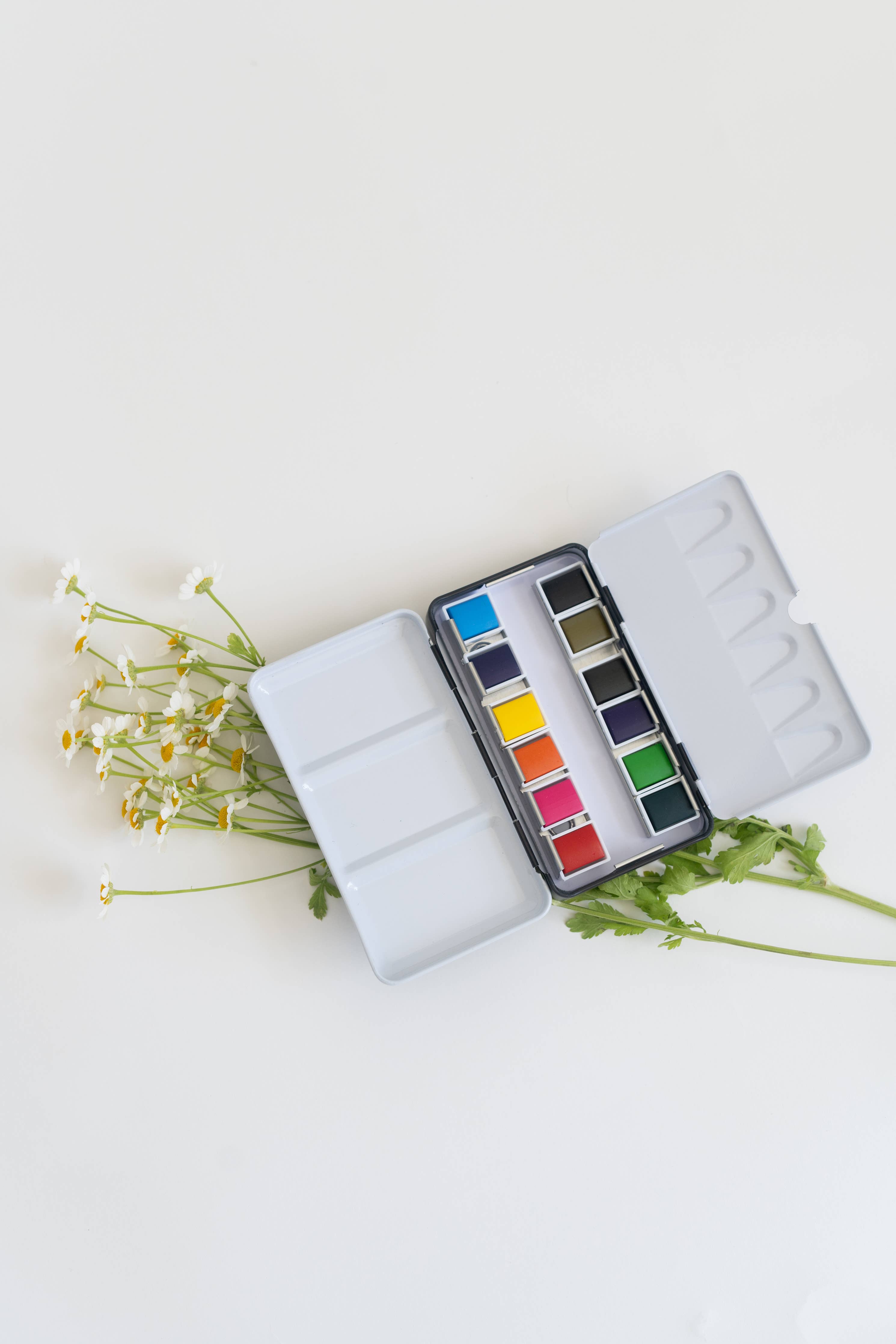 12 Color Watercolor Paint Palette