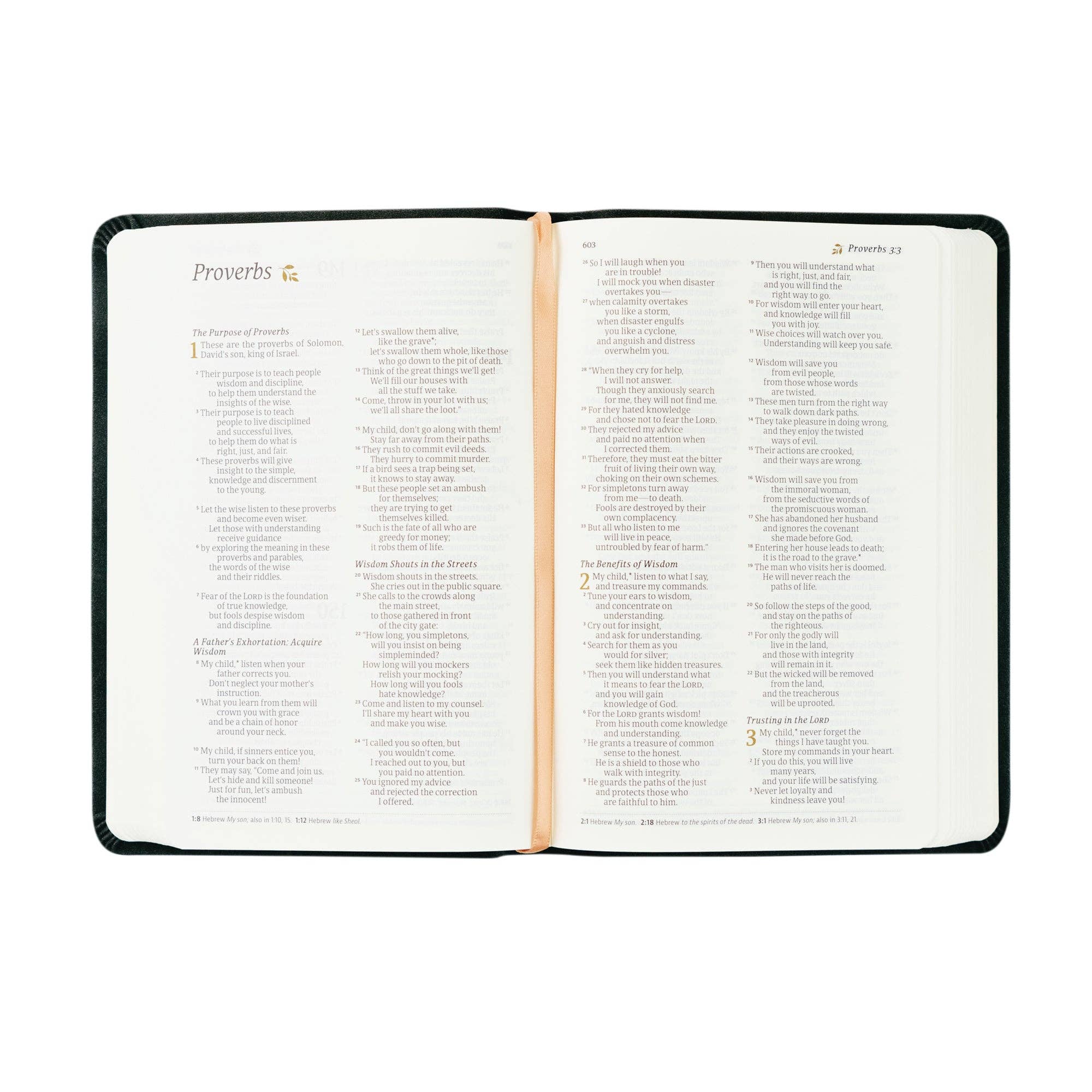 NLT Compact Bible: Jerusalem Theme