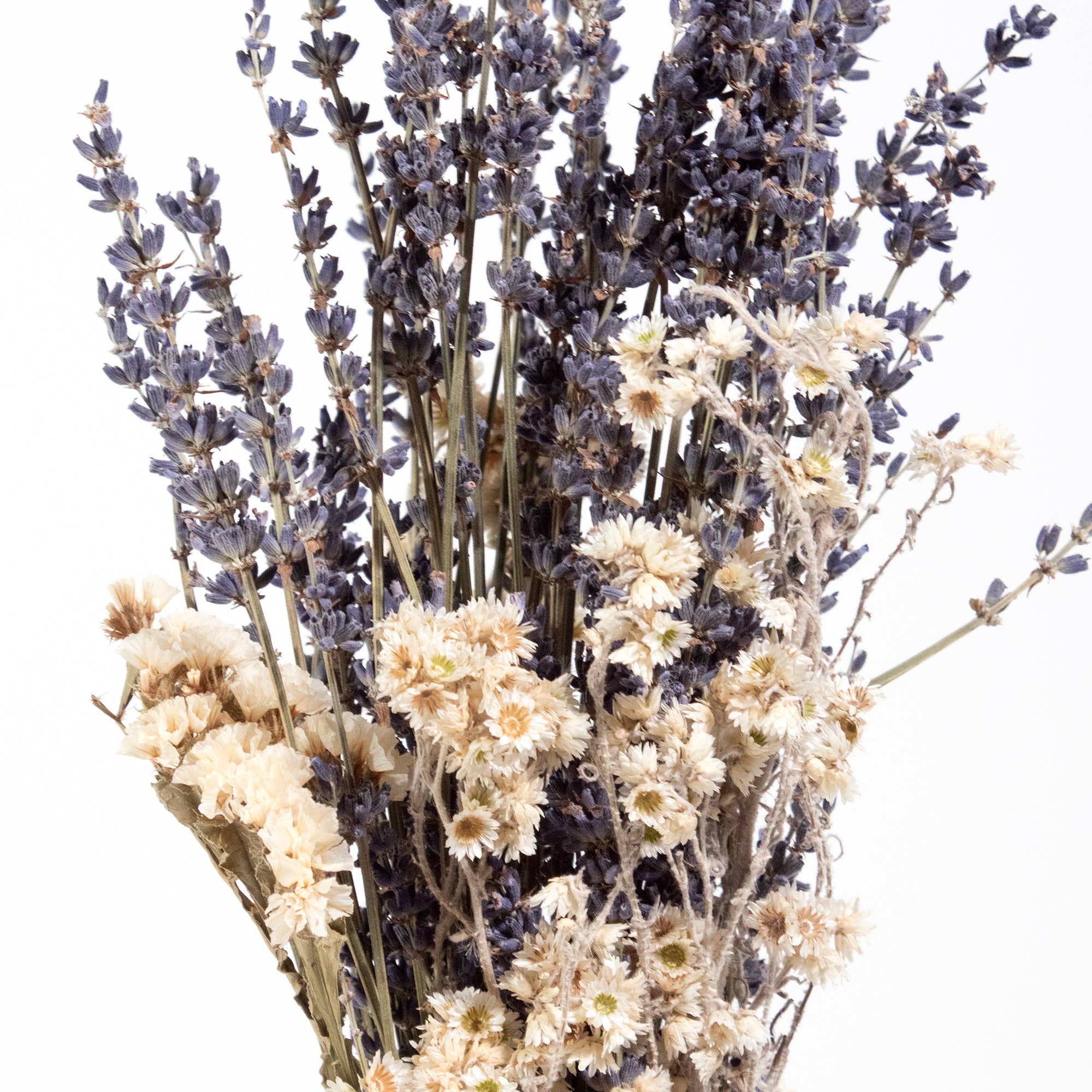 Lavender & Wildflower Bundle