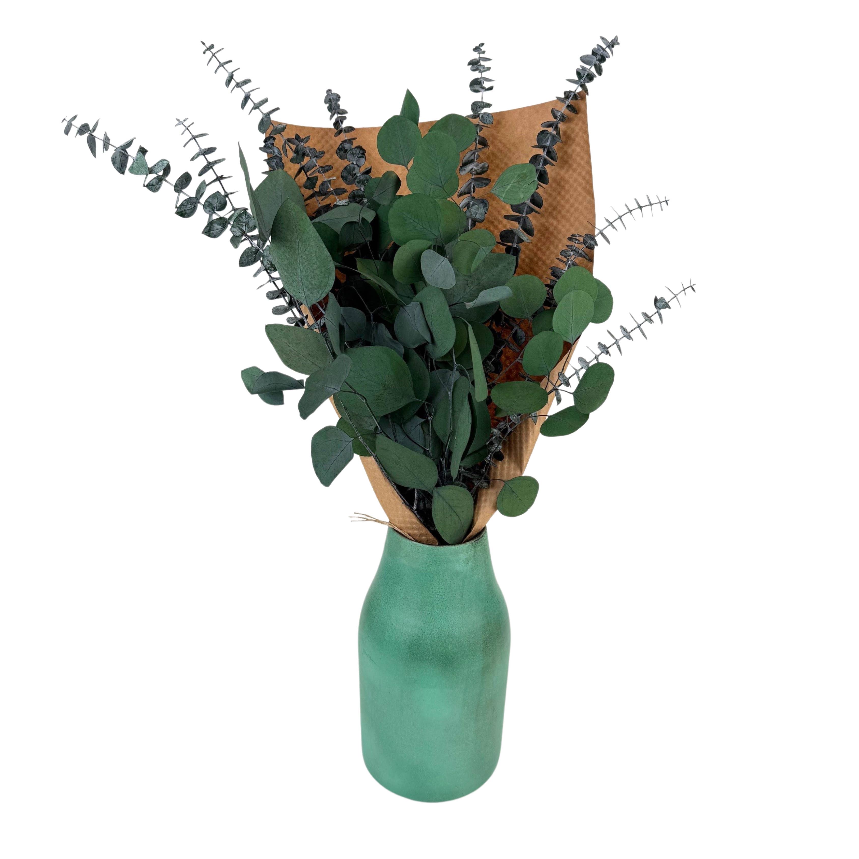 Silver Dollar & Baby Eucalyptus 8 ounce Preserved Bundle
