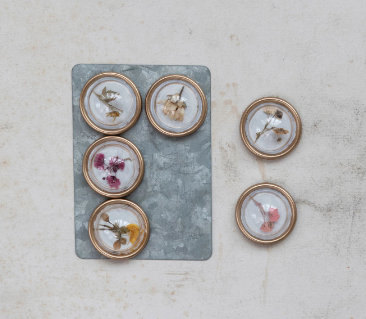 Botanical Magnets, Set of 6