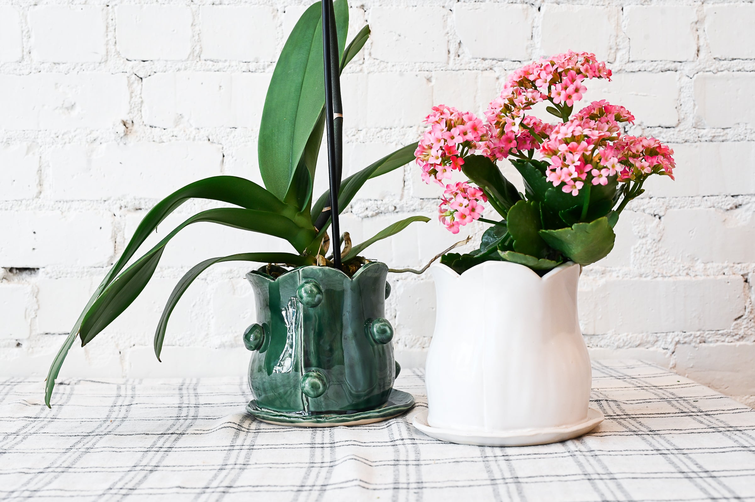 May 11th || Handbuilding Proper Pots with The Proper House