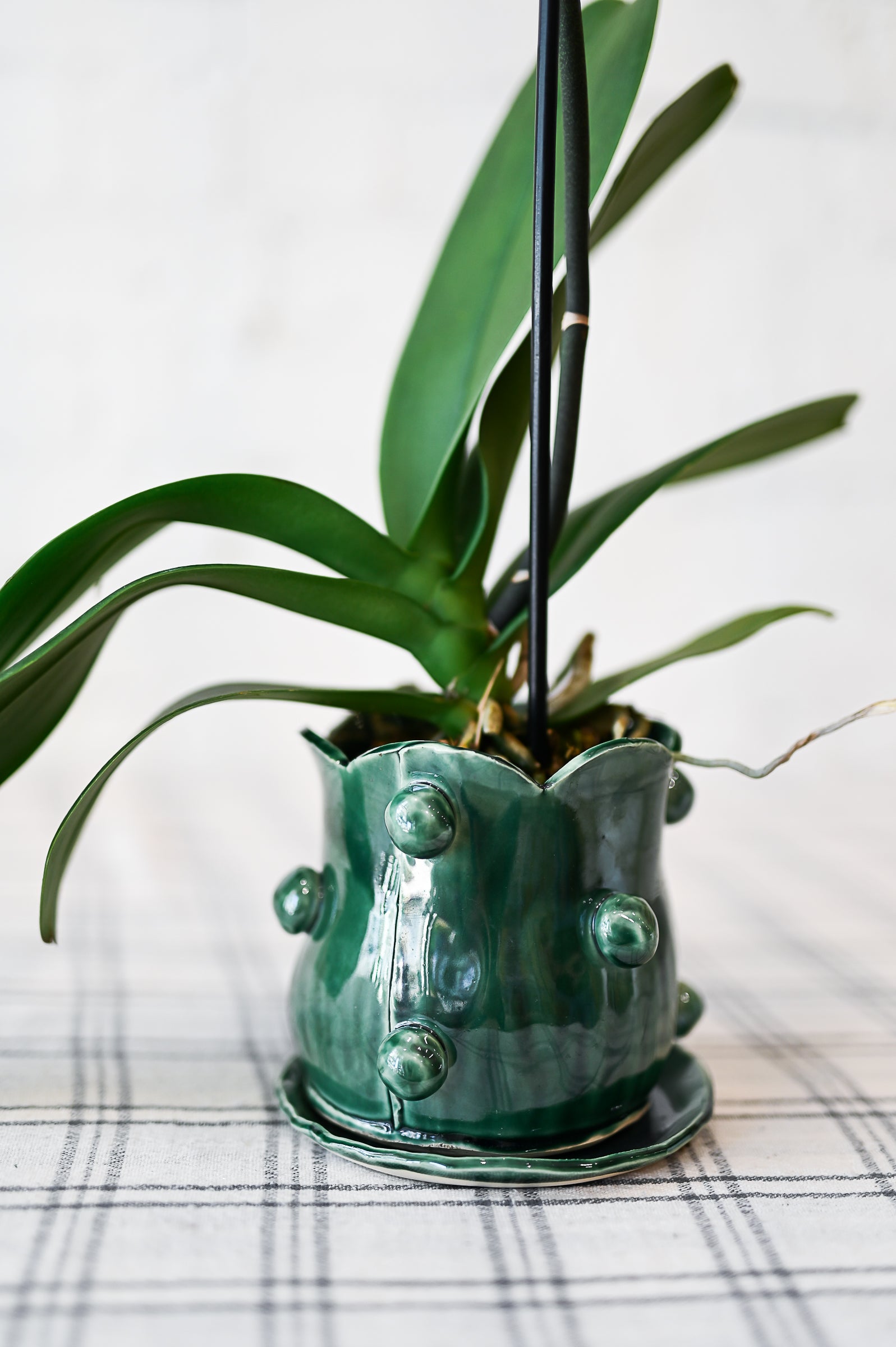 May 11th || Handbuilding Proper Pots with The Proper House