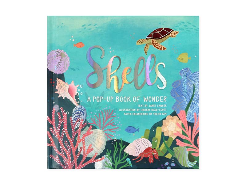 Shells: A Pop-Up Book Of Wonder - JJP127